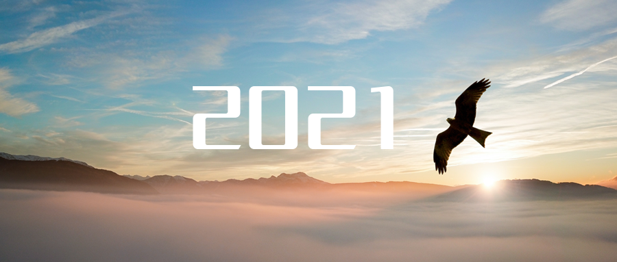 乘“峰”而上，智“盈”未来 ——2021年星空游戏环境高级资深副总裁新年开工动员